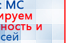 Пояс электрод купить в Минусинске, Электроды Меркурий купить в Минусинске, Нейродэнс ПКМ официальный сайт - denasdevice.ru